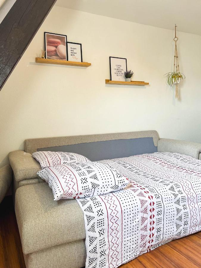 Appart'Hotel Le Dornach - Proche Gare Et Autoroute Mulhouse Dış mekan fotoğraf